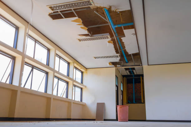 Best Water damage contractors near me  in Safford, AZ
