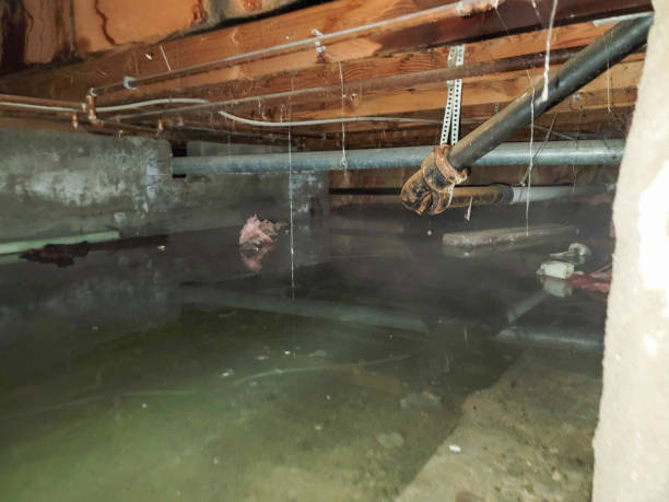 Water damage restoration process in AZ