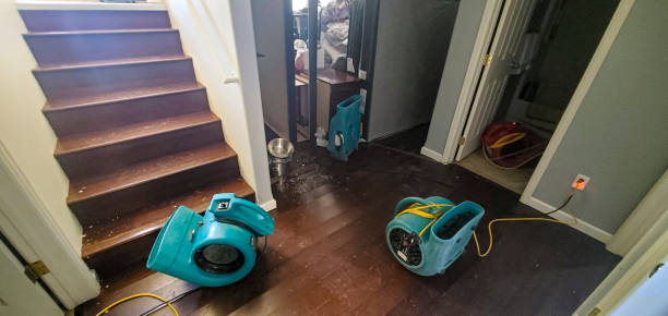 Best Water damage cleanup near me  in Safford, AZ