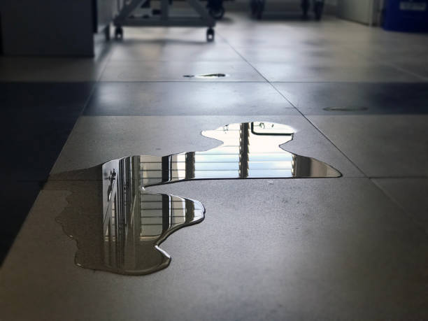 Reliable AZ Water damage restoration Solutions