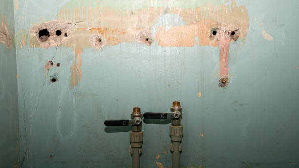 Best Water damage restoration specialists  in Safford, AZ
