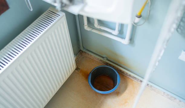 Best Water damage restoration near me  in Safford, AZ