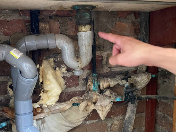 Best 24-hour water damage restoration  in Safford, AZ