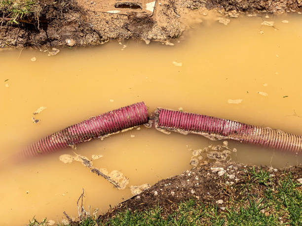 Local water damage restoration in AZ