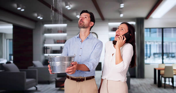 Best Flood restoration services  in Safford, AZ